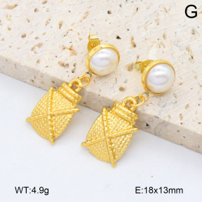 2E3003855aajo-446  Stainless Steel Earrings