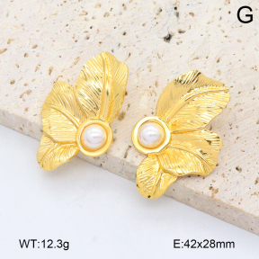 2E3003858aajo-446  Stainless Steel Earrings