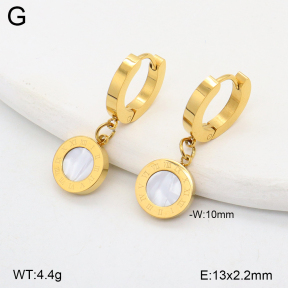 2E3003867bbmo-743  Stainless Steel Earrings