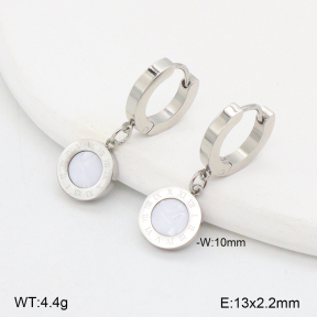 2E3003868vbmb-743  Stainless Steel Earrings