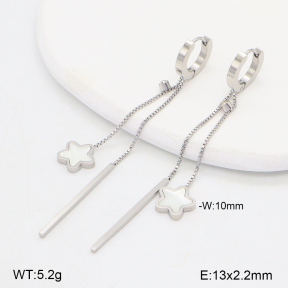 2E3003869bbov-743  Stainless Steel Earrings