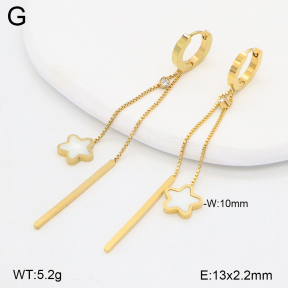 2E3003870vbpb-743  Stainless Steel Earrings