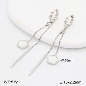 2E3003871bbov-743  Stainless Steel Earrings