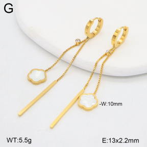 2E3003872vbpb-743  Stainless Steel Earrings