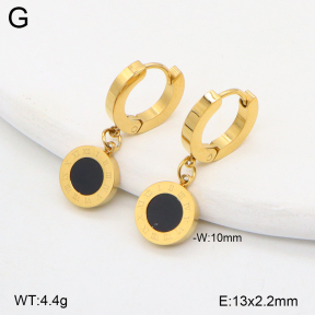 2E4004779bbmo-743  Stainless Steel Earrings