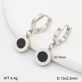 2E4004780vbmb-743  Stainless Steel Earrings