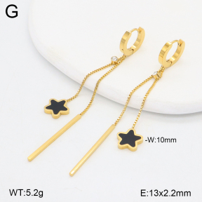 2E4004782vbpb-743  Stainless Steel Earrings