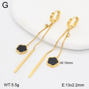 2E4004784vbpb-743  Stainless Steel Earrings