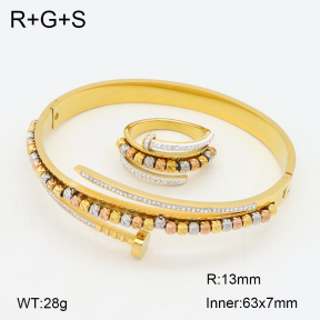 2S0012657aivb-377  Stainless Steel Set