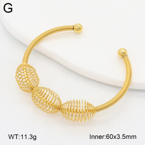 2BA202341vbnb-212  Stainless Steel Bangle