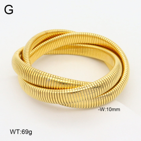 2BA202352vila-397  Stainless Steel Bangle