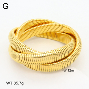 2BA202354aiov-397  Stainless Steel Bangle