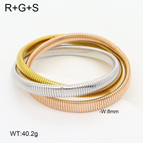 2BA202356bika-397  Stainless Steel Bangle