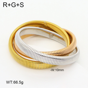 2BA202357vila-397  Stainless Steel Bangle