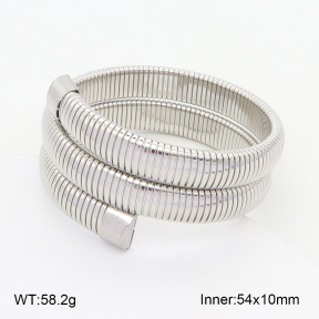 2BA202360vila-397  Stainless Steel Bangle