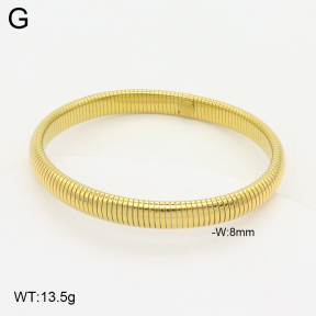 2BA202361bhva-397  Stainless Steel Bangle