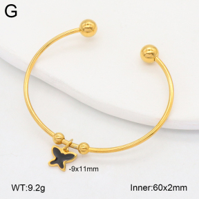 2BA300540vbmb-212  Stainless Steel Bangle