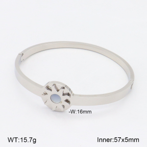 2BA303094vbnb-749  Stainless Steel Bangle
