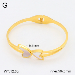 2BA303098bbov-749  Stainless Steel Bangle