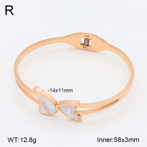 2BA303099bbov-749  Stainless Steel Bangle