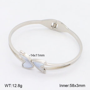 2BA303100vbnb-749  Stainless Steel Bangle