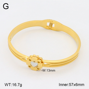 2BA303101bbov-749  Stainless Steel Bangle