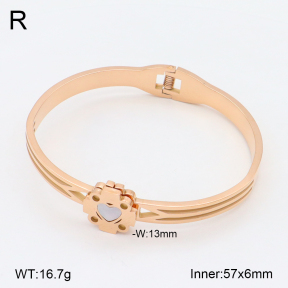 2BA303102bbov-749  Stainless Steel Bangle