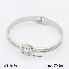 2BA303103vbnb-749  Stainless Steel Bangle