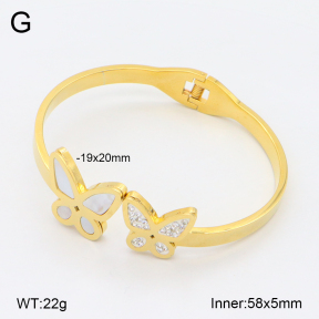 2BA303107bbov-749  Stainless Steel Bangle