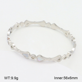 2BA303112vbnb-749  Stainless Steel Bangle
