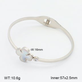 2BA303116vbnb-749  Stainless Steel Bangle