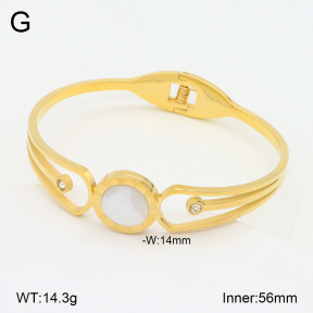 2BA303117bbov-749  Stainless Steel Bangle