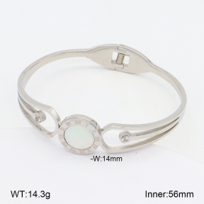 2BA303118vbnb-749  Stainless Steel Bangle