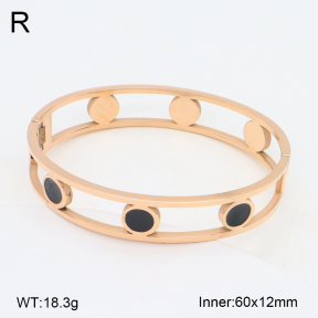 2BA303120bbov-749  Stainless Steel Bangle