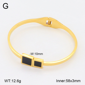 2BA402556vbnb-749  Stainless Steel Bangle