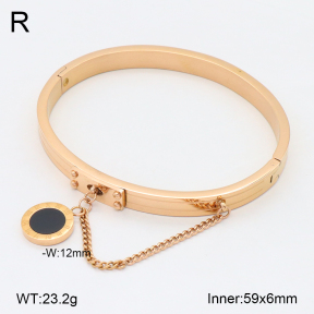 2BA402560bhva-749  Stainless Steel Bangle