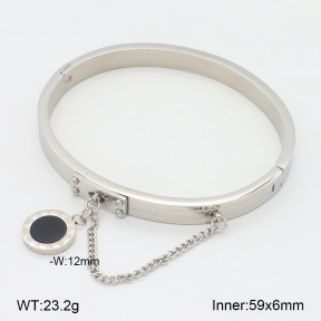 2BA402561vbpb-749  Stainless Steel Bangle
