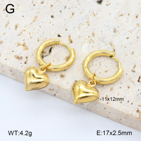 2E2006531ablb-212  Stainless Steel Earrings