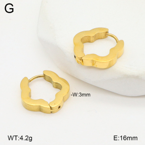 2E2006532vbmb-253  Stainless Steel Earrings