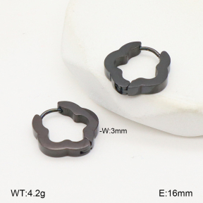 2E2006534vbll-253  Stainless Steel Earrings