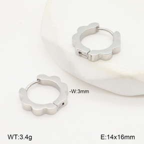 2E2006536ablb-253  Stainless Steel Earrings