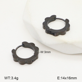 2E2006537vbll-253  Stainless Steel Earrings