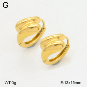 2E2006538abol-253  Stainless Steel Earrings