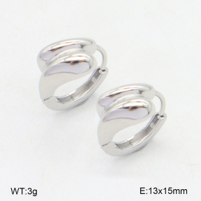 2E2006539vbnl-253  Stainless Steel Earrings
