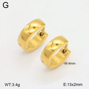 2E2006540vbll-253  Stainless Steel Earrings