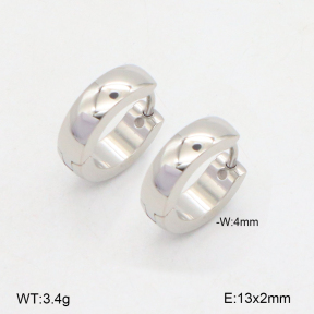 2E2006541ablb-253  Stainless Steel Earrings