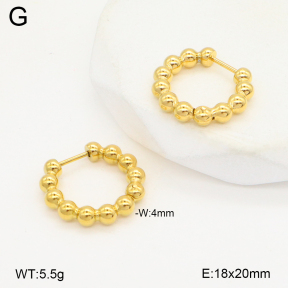 2E2006542abol-253  Stainless Steel Earrings