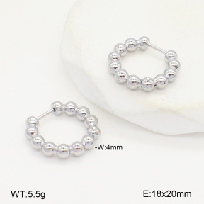 2E2006543vbnl-253  Stainless Steel Earrings