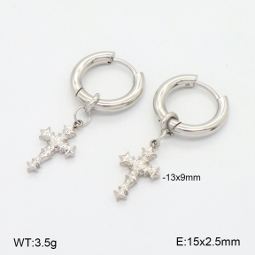 2E2006544ablb-253  Stainless Steel Earrings