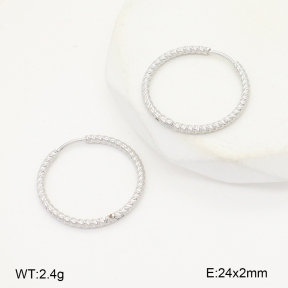 2E2006545ablb-253  Stainless Steel Earrings